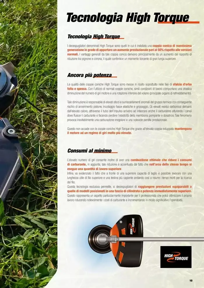 Catalogo master prodotti 2025 da 17 febbraio a 31 dicembre di 2025 - Pagina del volantino 11