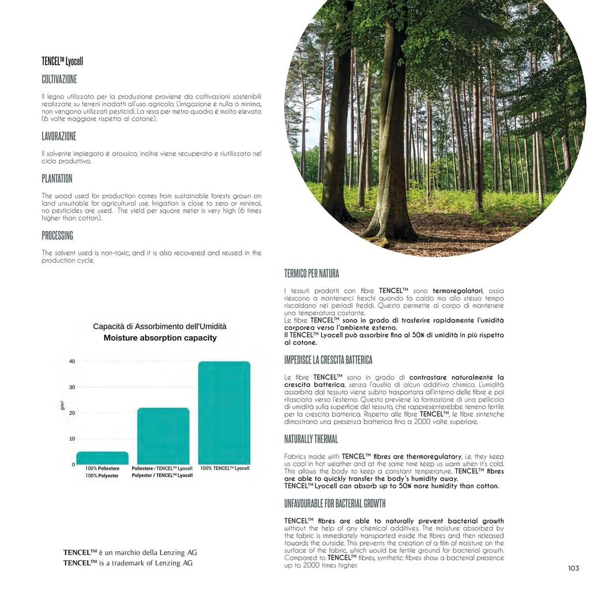 Volantino Foppapedretti da 7 gennaio a 31 dicembre di 2025 - Pagina del volantino 103