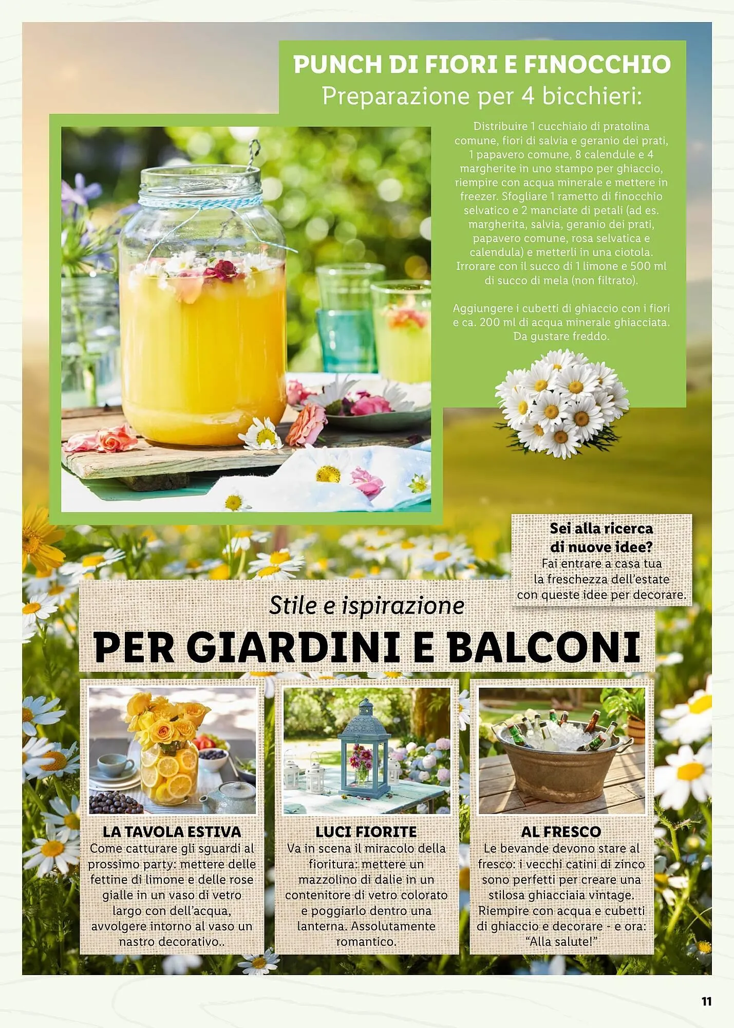 Volantino Lidl da 4 aprile a 30 aprile di 2025 - Pagina del volantino 11