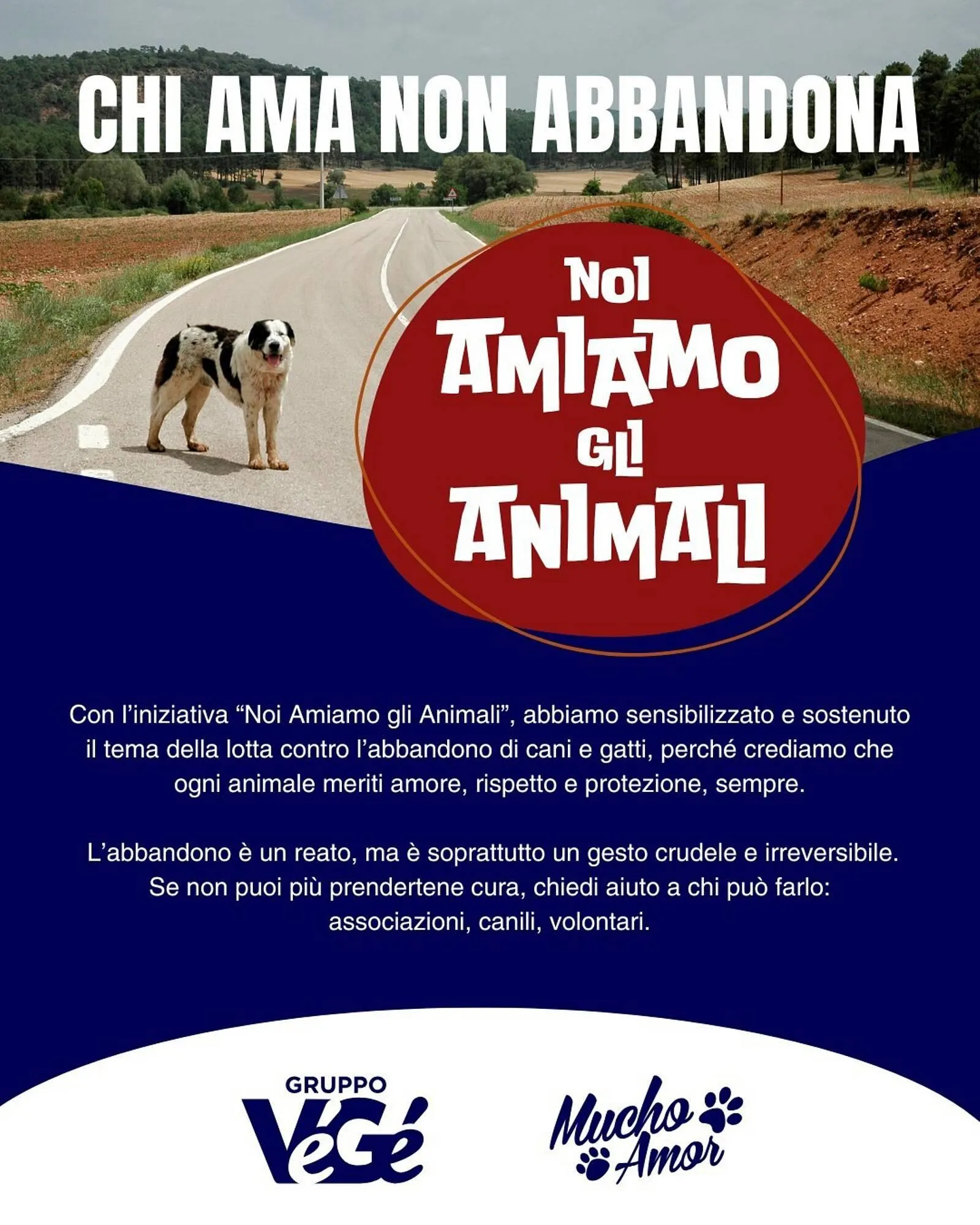 Volantino Gruppo VéGé da 12 agosto a 24 agosto di 2025 - Pagina del volantino 1