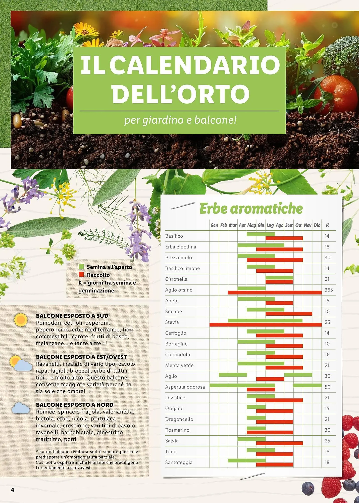 Volantino Lidl da 4 aprile a 30 aprile di 2025 - Pagina del volantino 4