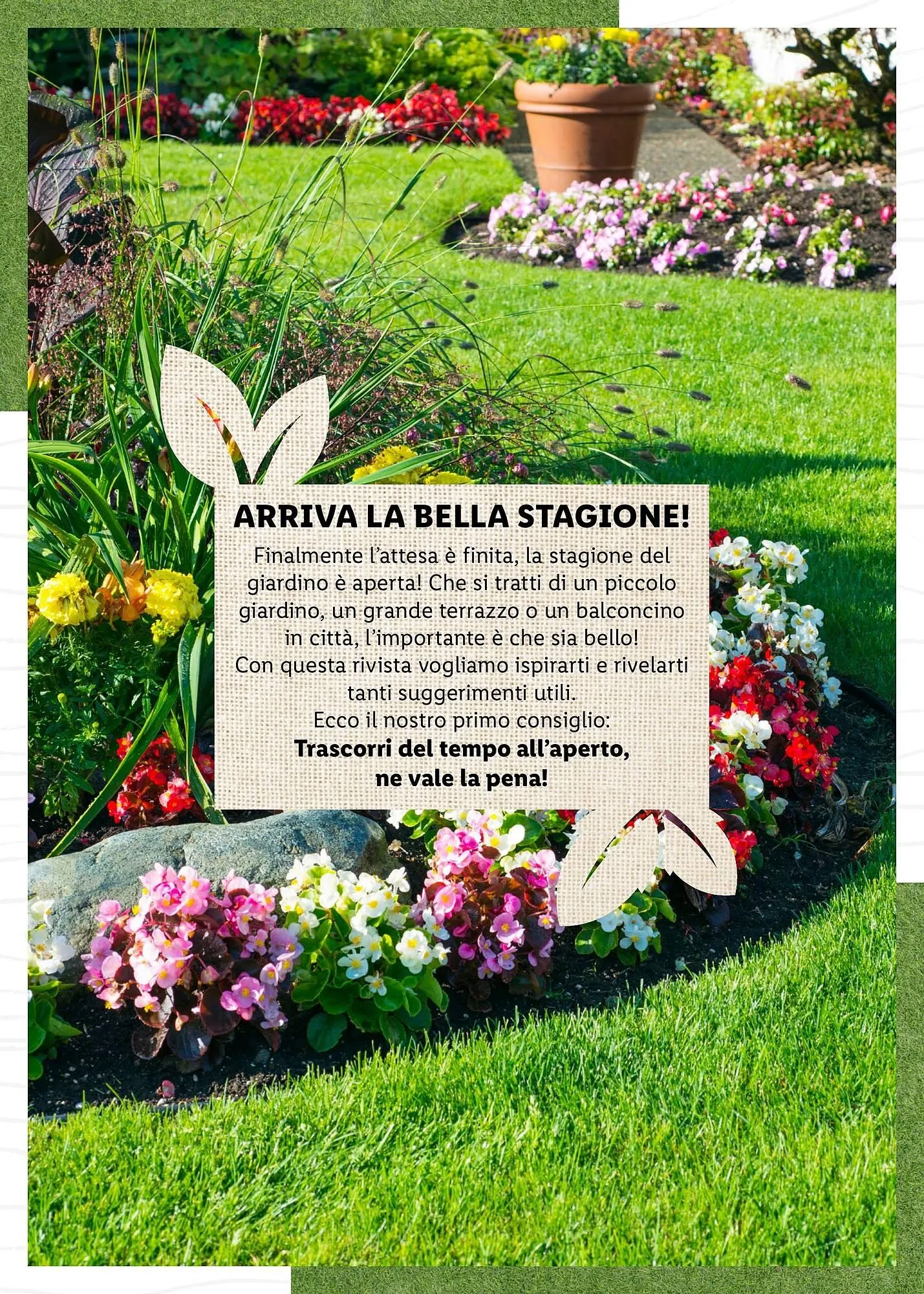Volantino Lidl da 4 aprile a 30 aprile di 2025 - Pagina del volantino 2