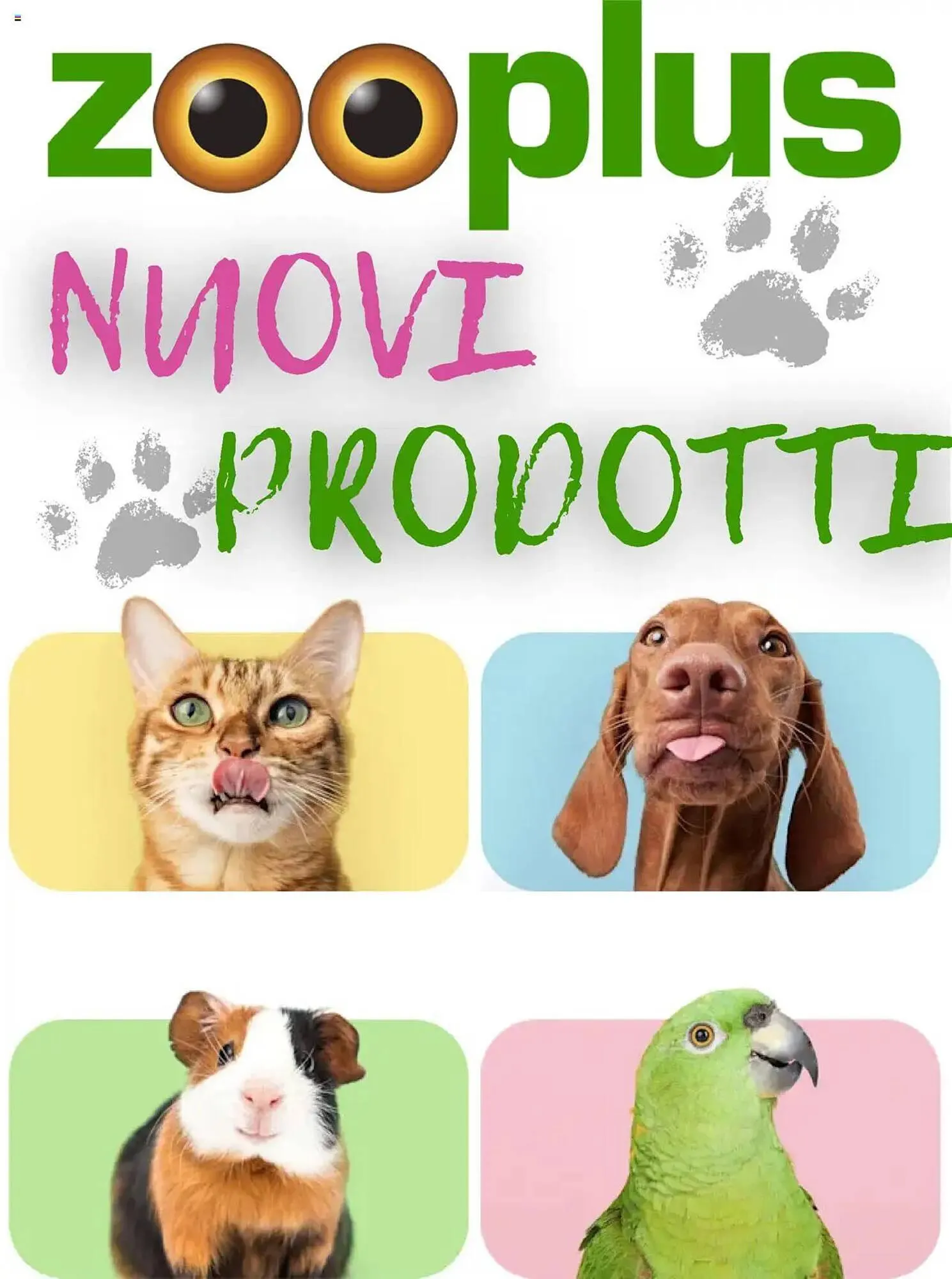 Volantino Zooplus - 1