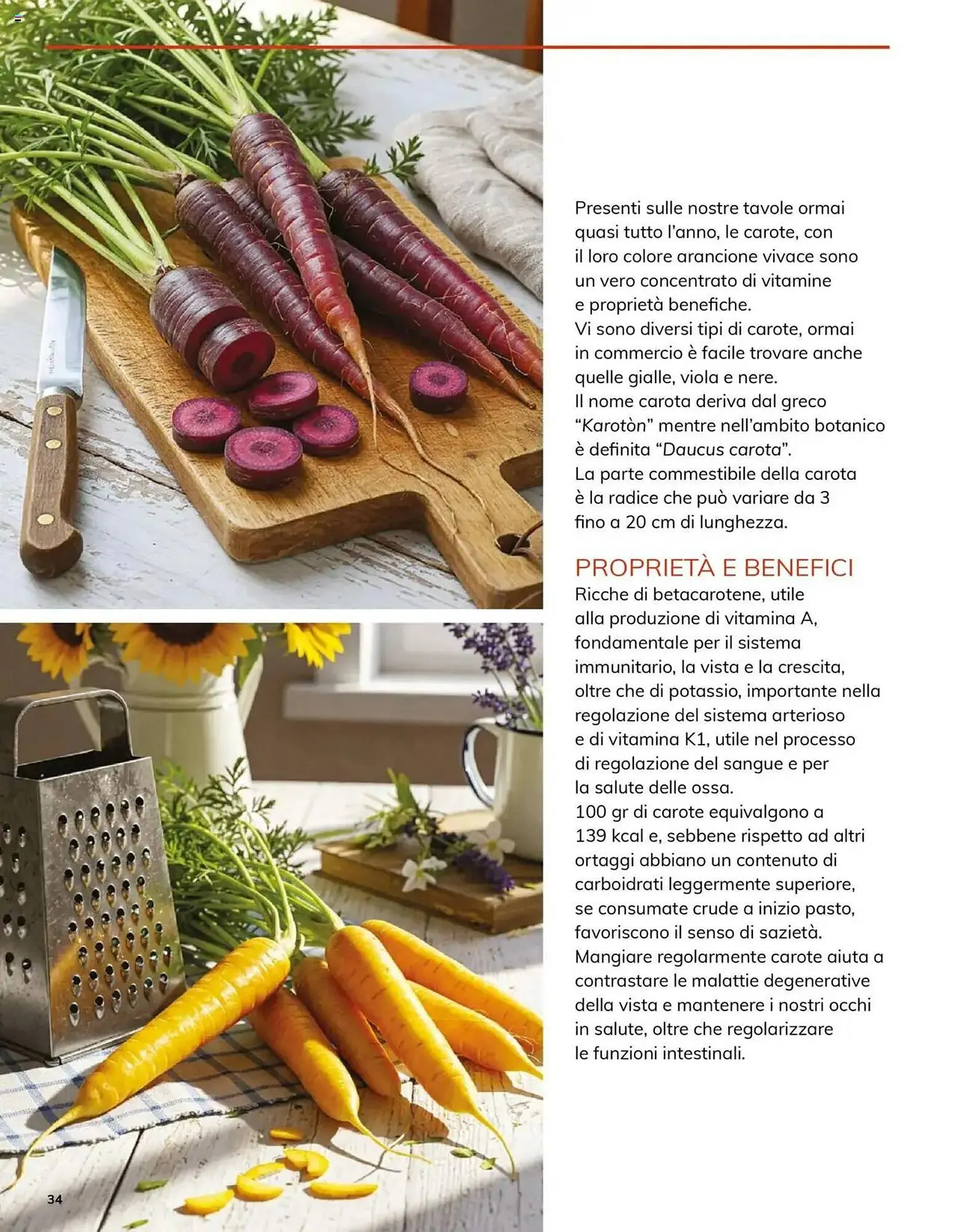 Volantino Basko da 8 maggio a 30 giugno di 2025 - Pagina del volantino 102