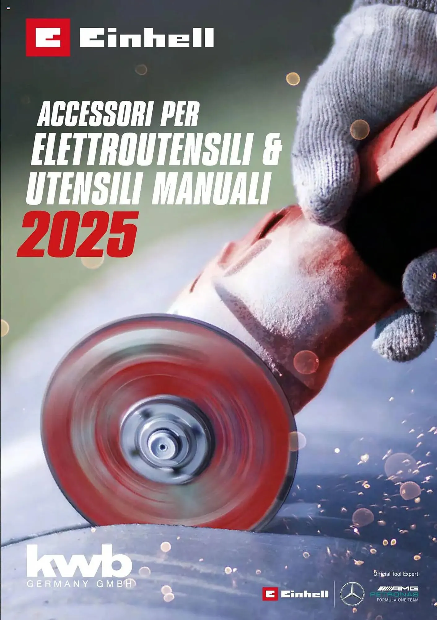 Volantino Einhell da 6 febbraio a 6 febbraio di 2026 - Pagina del volantino 1