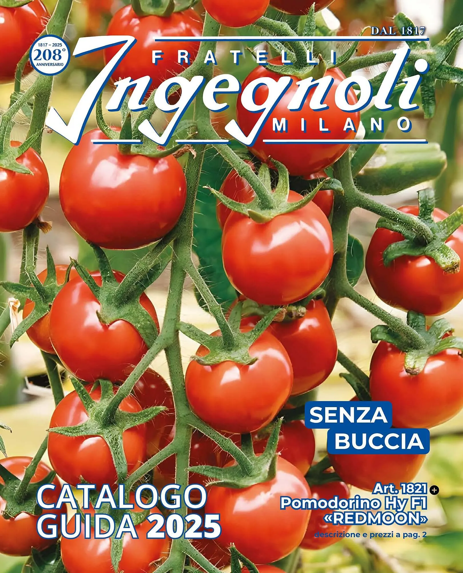 Volantino Ingegnoli da 4 novembre a 31 dicembre di 2025 - Pagina del volantino 1