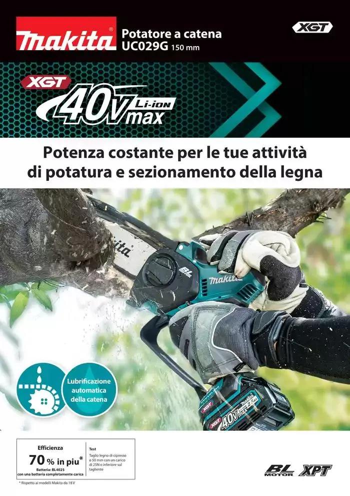 Potatore a catena da 23 aprile a 31 dicembre di 2025 - Pagina del volantino 1