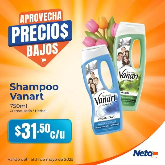 Catálogo de Nuestras mejores ofertas para ti 1 de mayo al 31 de mayo 2025 - Pagina 2