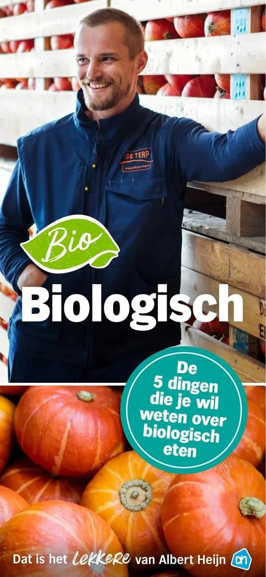 Albert Heijn folder van 11 augustus tot 7 september 2025 - Folder pagina 1