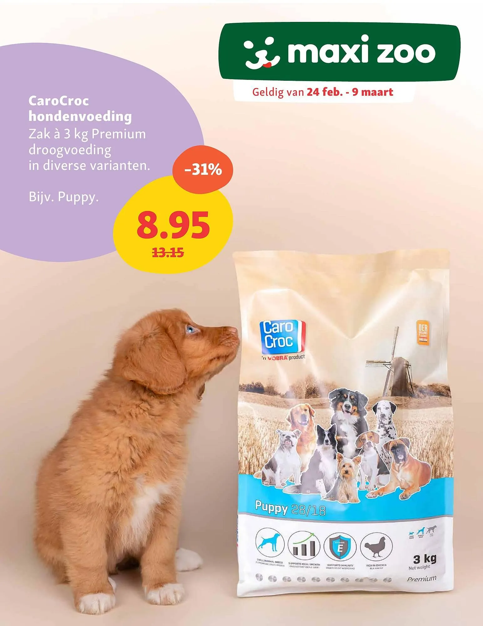Maxi Zoo folder - 1