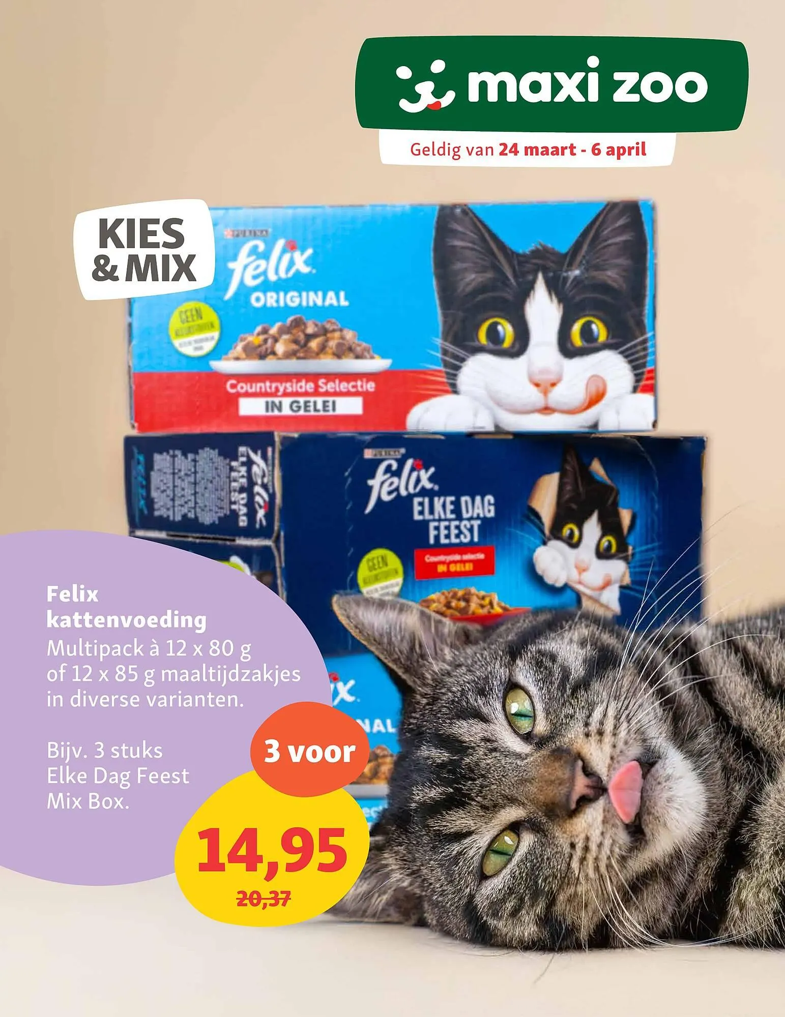 Maxi Zoo folder - 1
