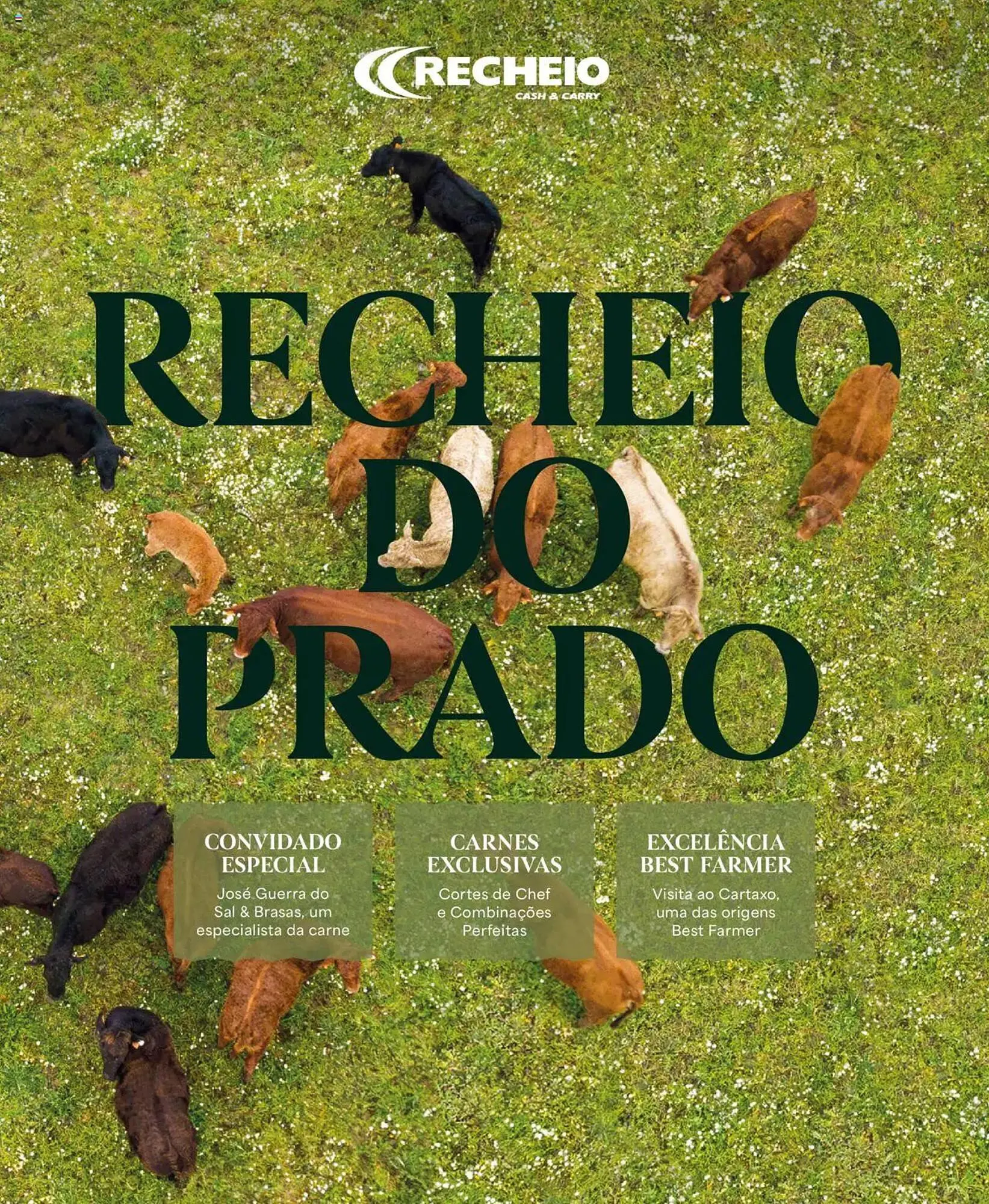 Folheto Recheio - 1