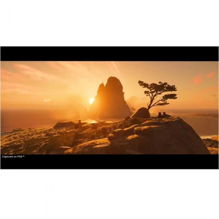 Joc PS5 Ghost of Tsushima Director Cut