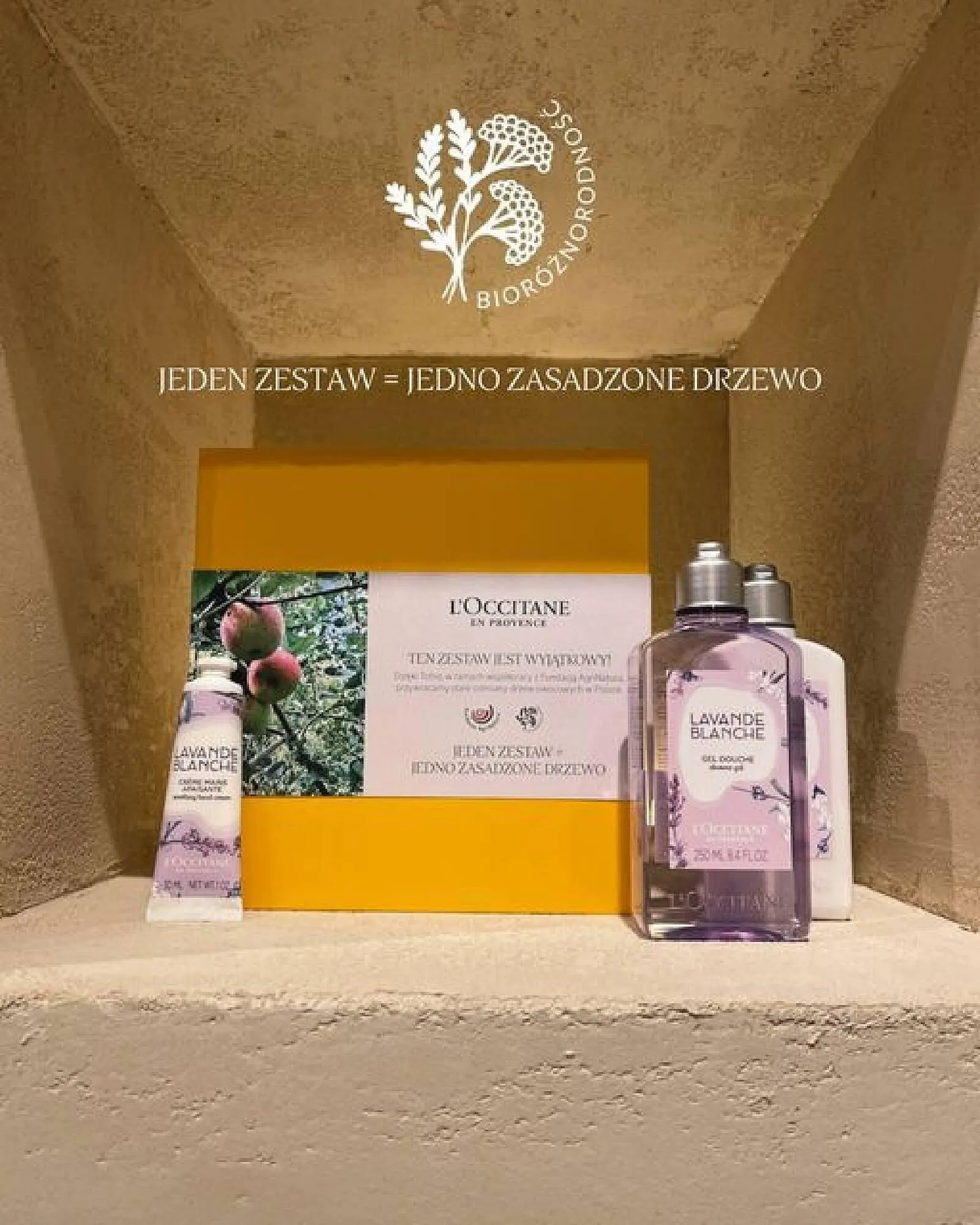 Catalog L'OCCITANE catalog de la 15 august până la 28 august 2024 - Revista Pagina 2