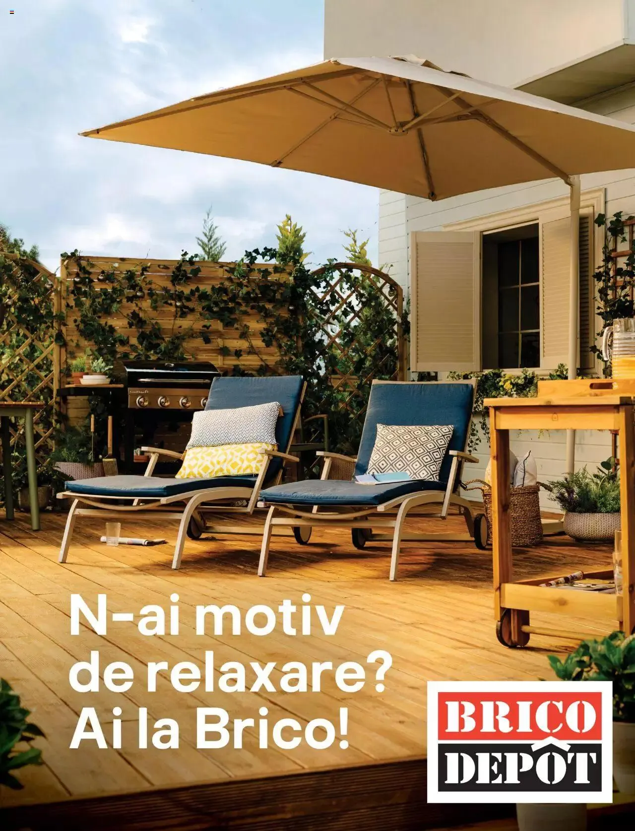 Catalog Brico Depot catalog - Bucuria momentelor de la 1 iunie până la 30 septembrie 2023 - Revista Pagina 1