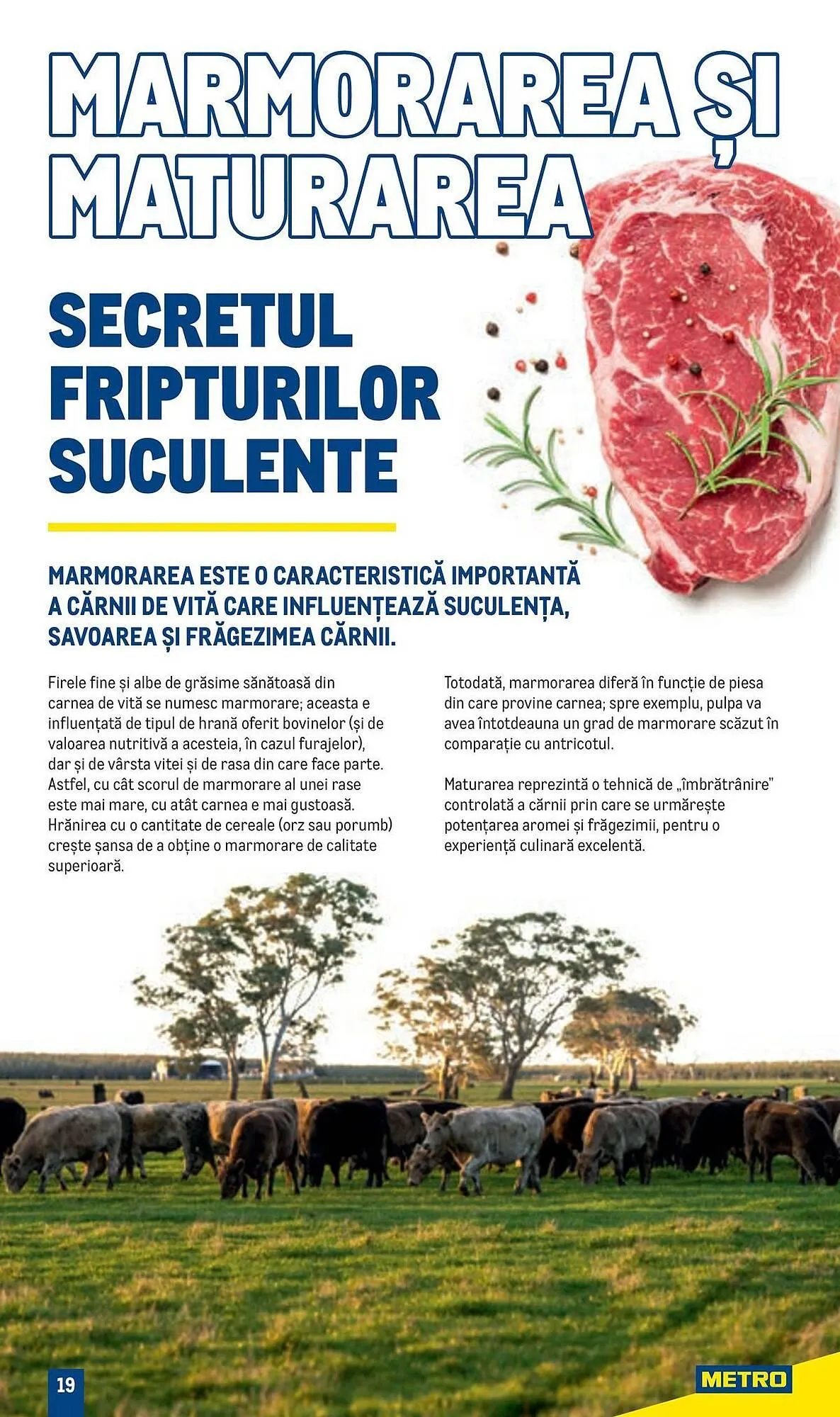 Catalog Catalog Metro de la 9 aprilie până la 31 decembrie 2025 - Revista Pagina 19