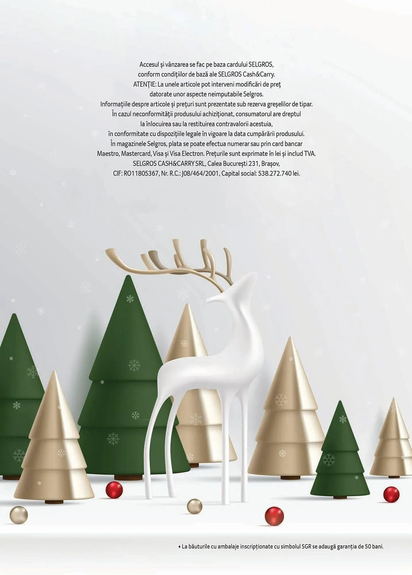 Catalog Catalog Selgros de la 5 noiembrie până la 25 decembrie 2024 - Revista Pagina 100