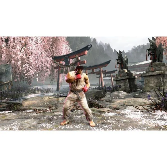 Joc PS5 Street Fighter 6 Standard Edition