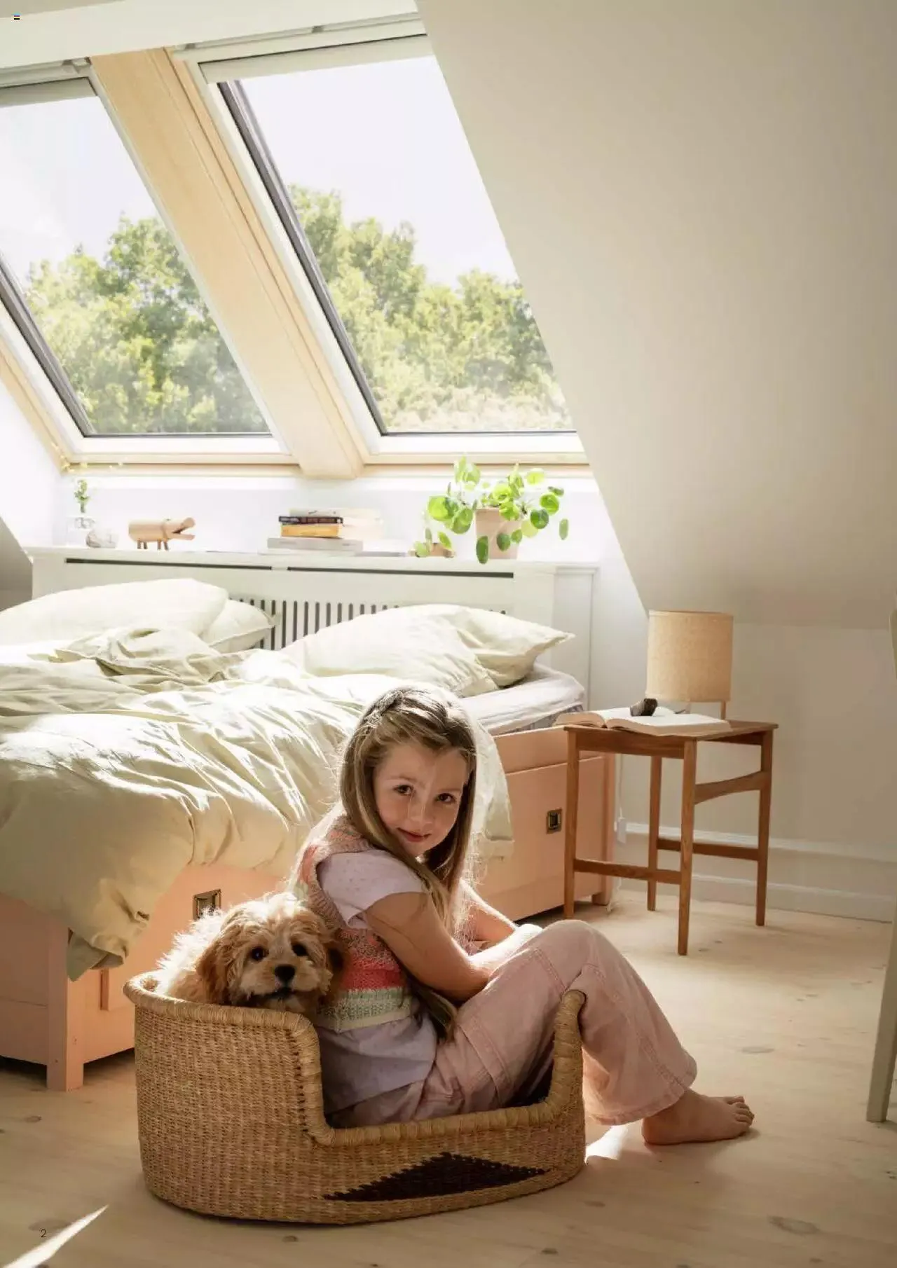 Catalog Catalog Velux de la 19 martie până la 31 decembrie 2024 - Revista Pagina 2