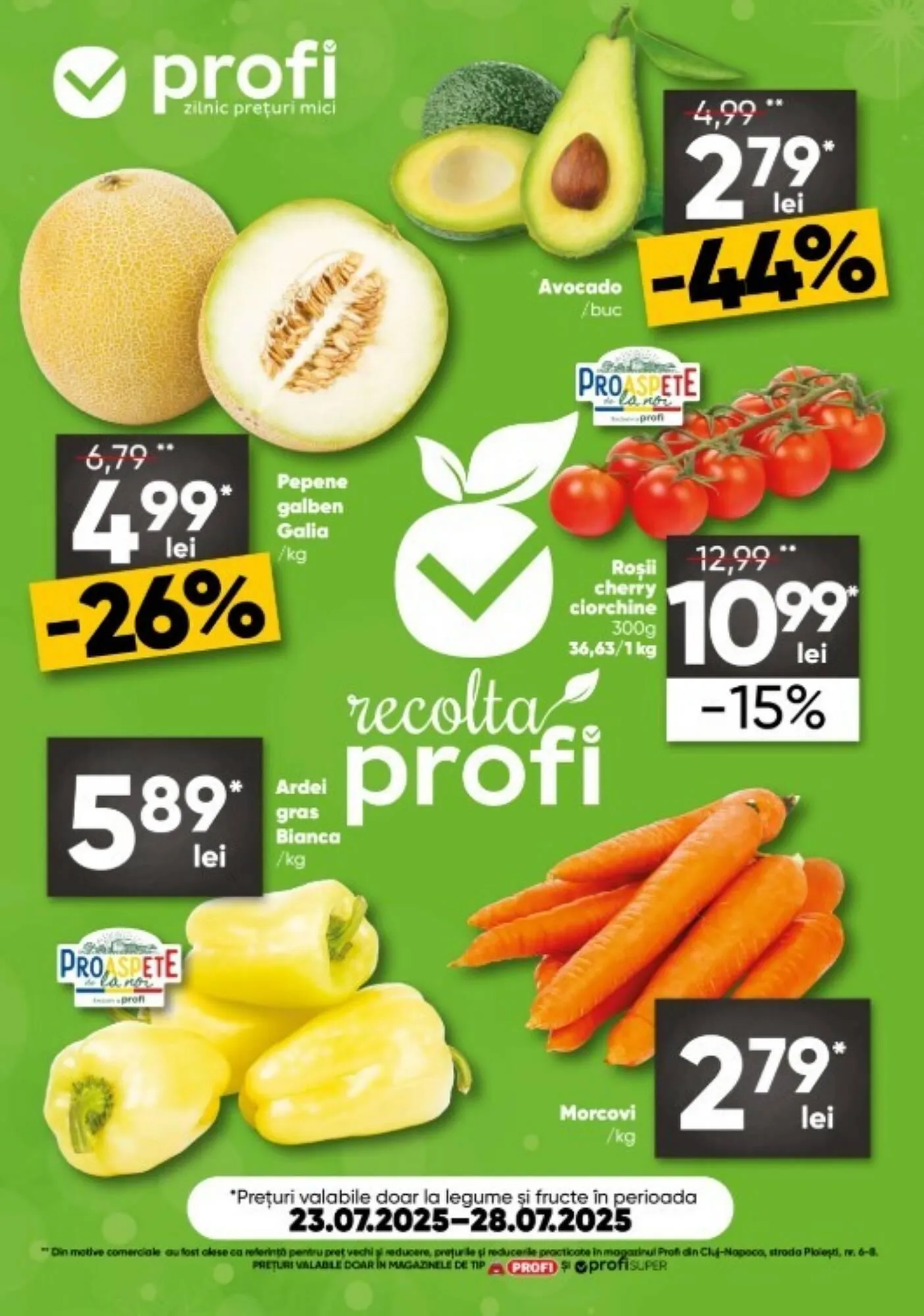 Catalog PROFI - 1