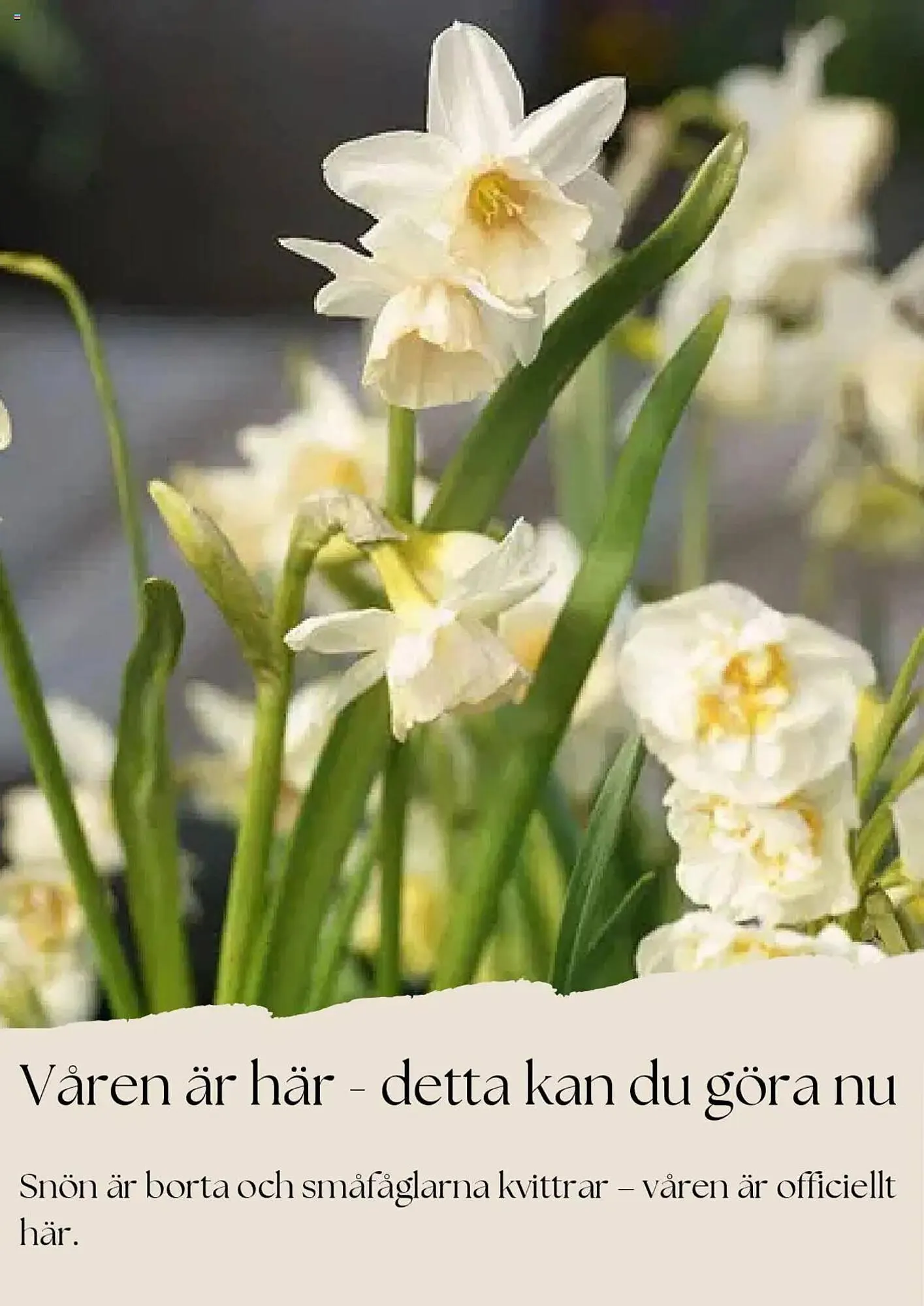 Plantagen reklamblad från 1 april till 30 april 2025 - Reklamblad sidor 6