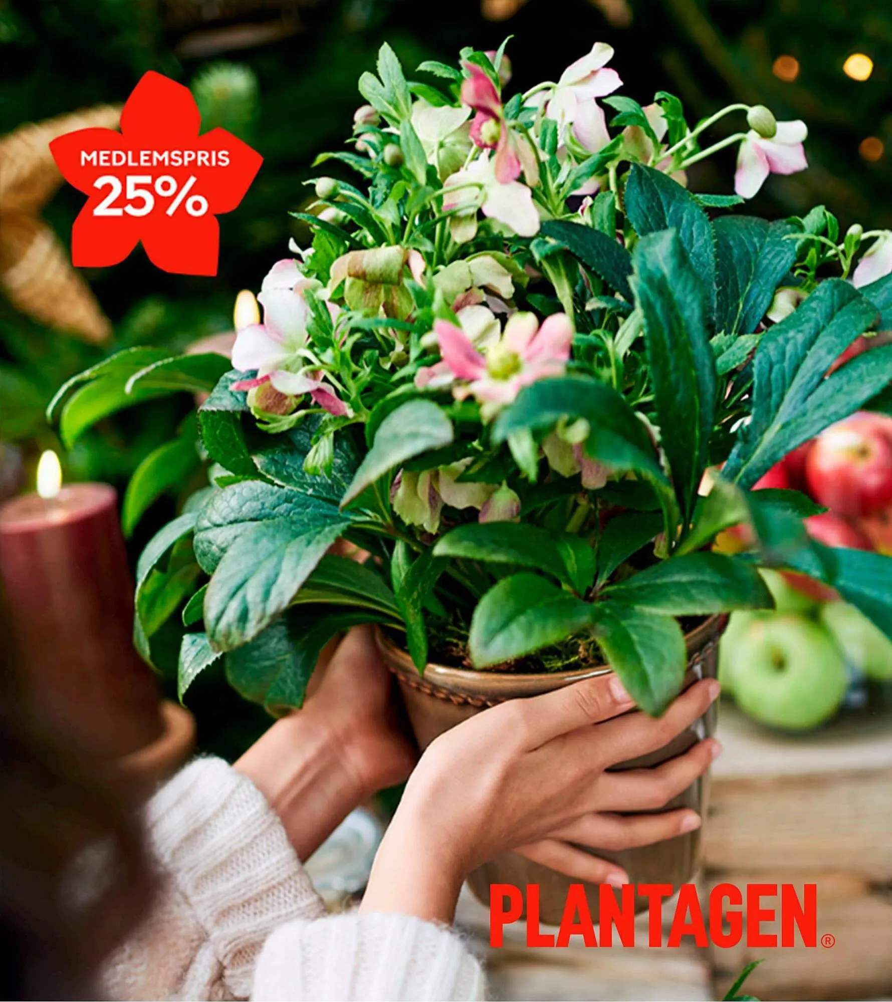 Plantagen reklamblad - 1