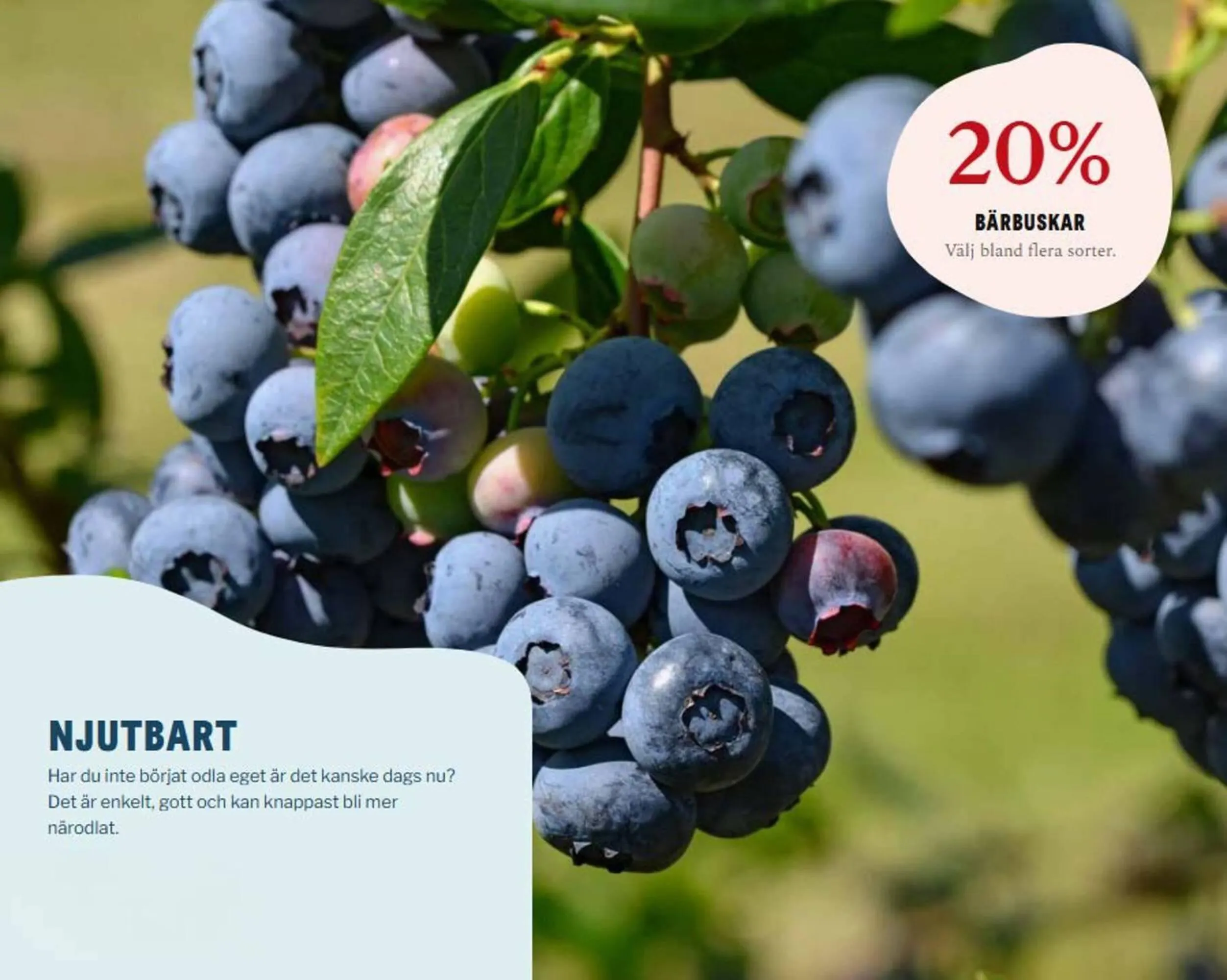 Blomsterlandet reklamblad från 26 april till 31 maj 2025 - Reklamblad sidor 1