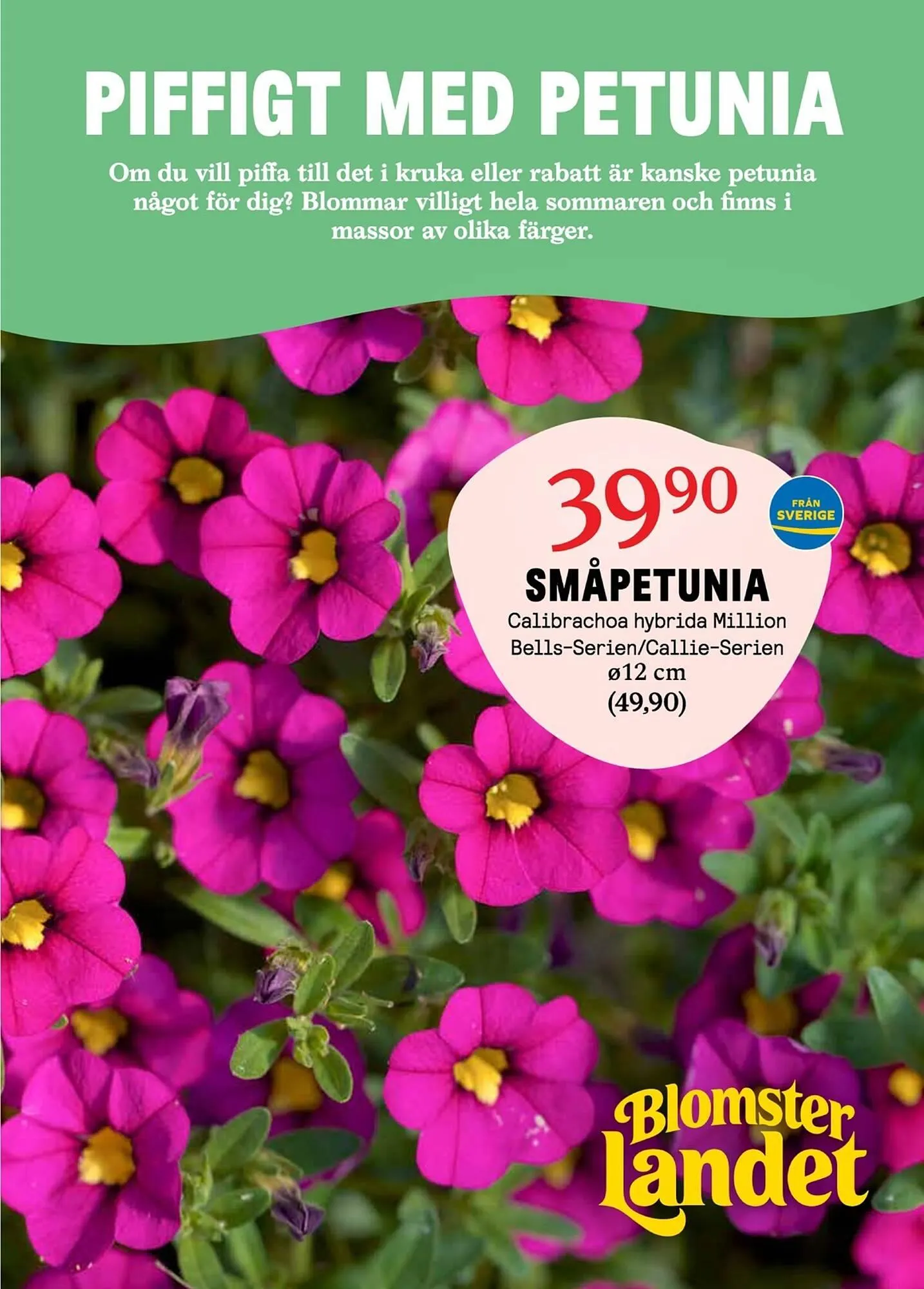 Blomsterlandet reklamblad från 12 maj till 18 maj 2025 - Reklamblad sidor 1