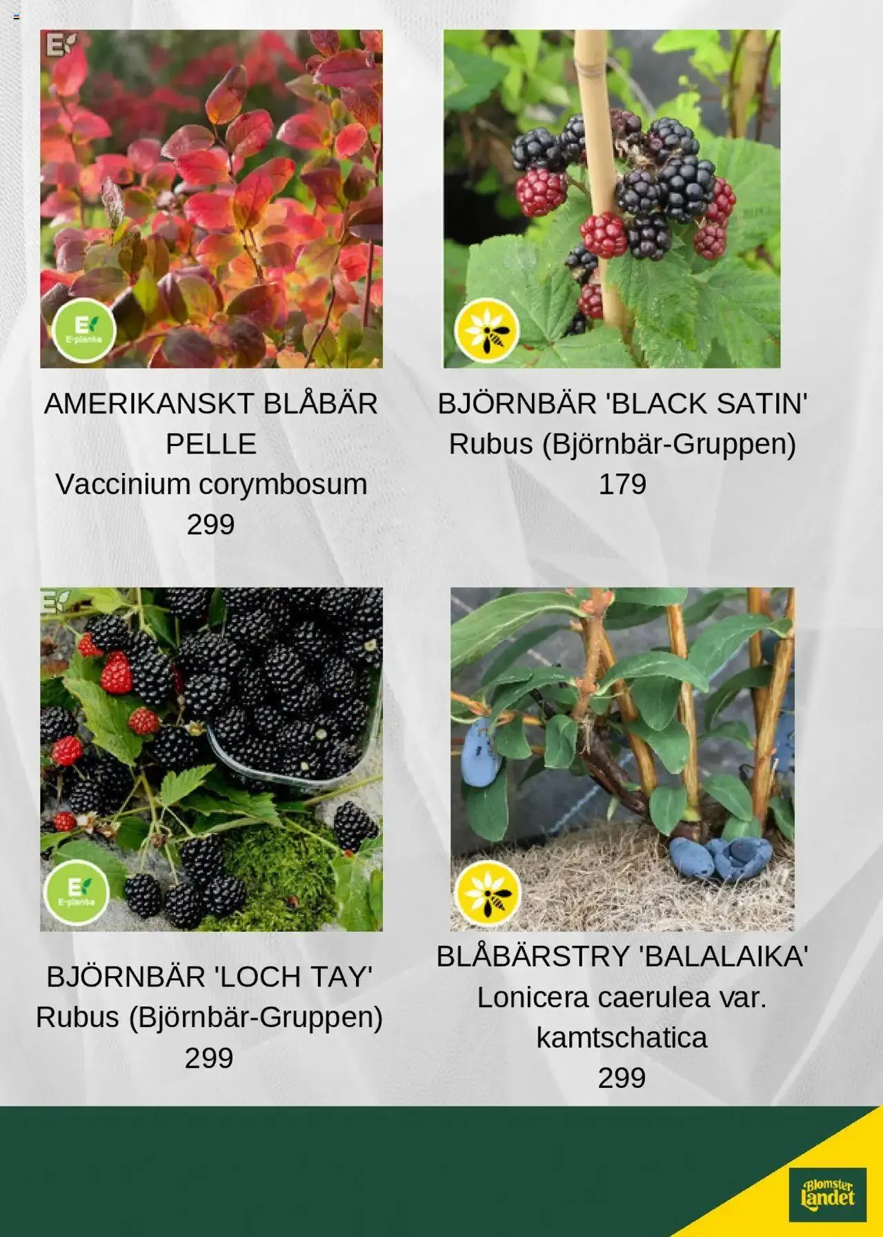 Blomsterlandet - erbjudanden från 8 juli till 31 december 2024 - Reklamblad sidor 5