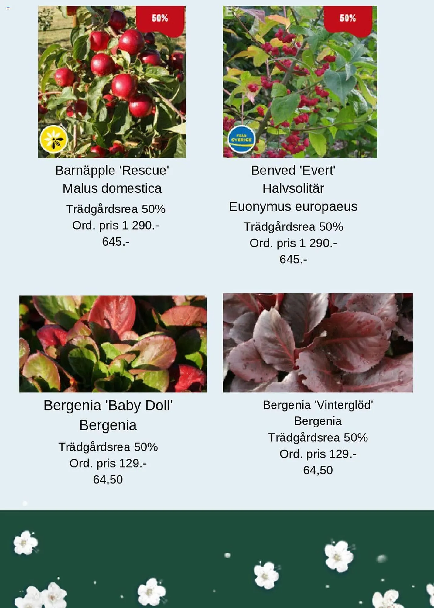 Blomsterlandet reklamblad från 30 september till 13 oktober 2024 - Reklamblad sidor 2