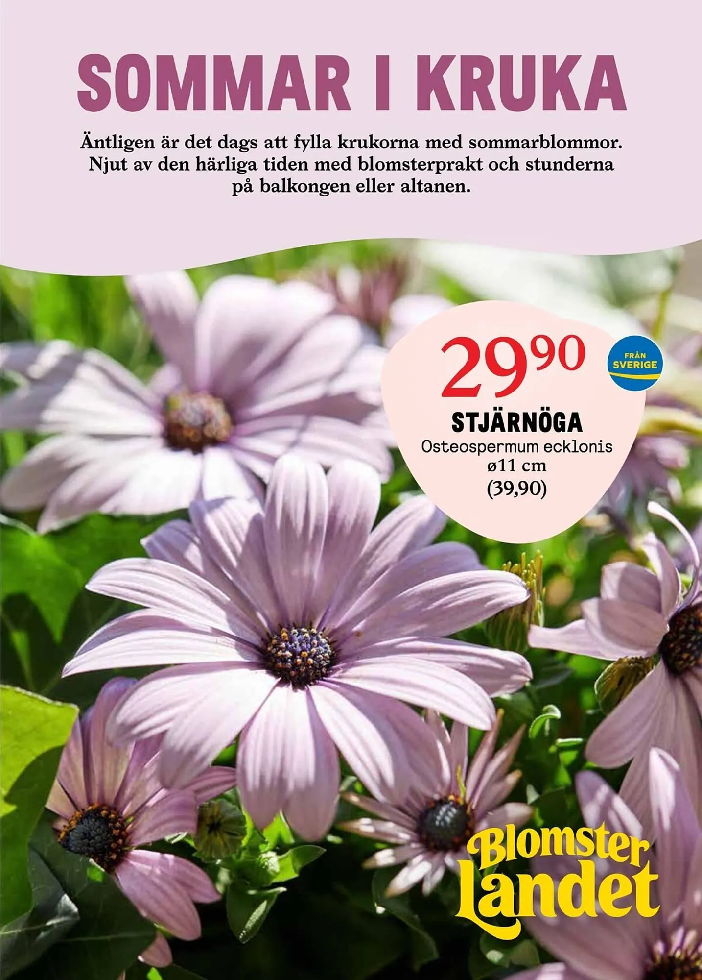 Blomsterlandet reklamblad från 26 maj till 1 juni 2025 - Reklamblad sidor 1