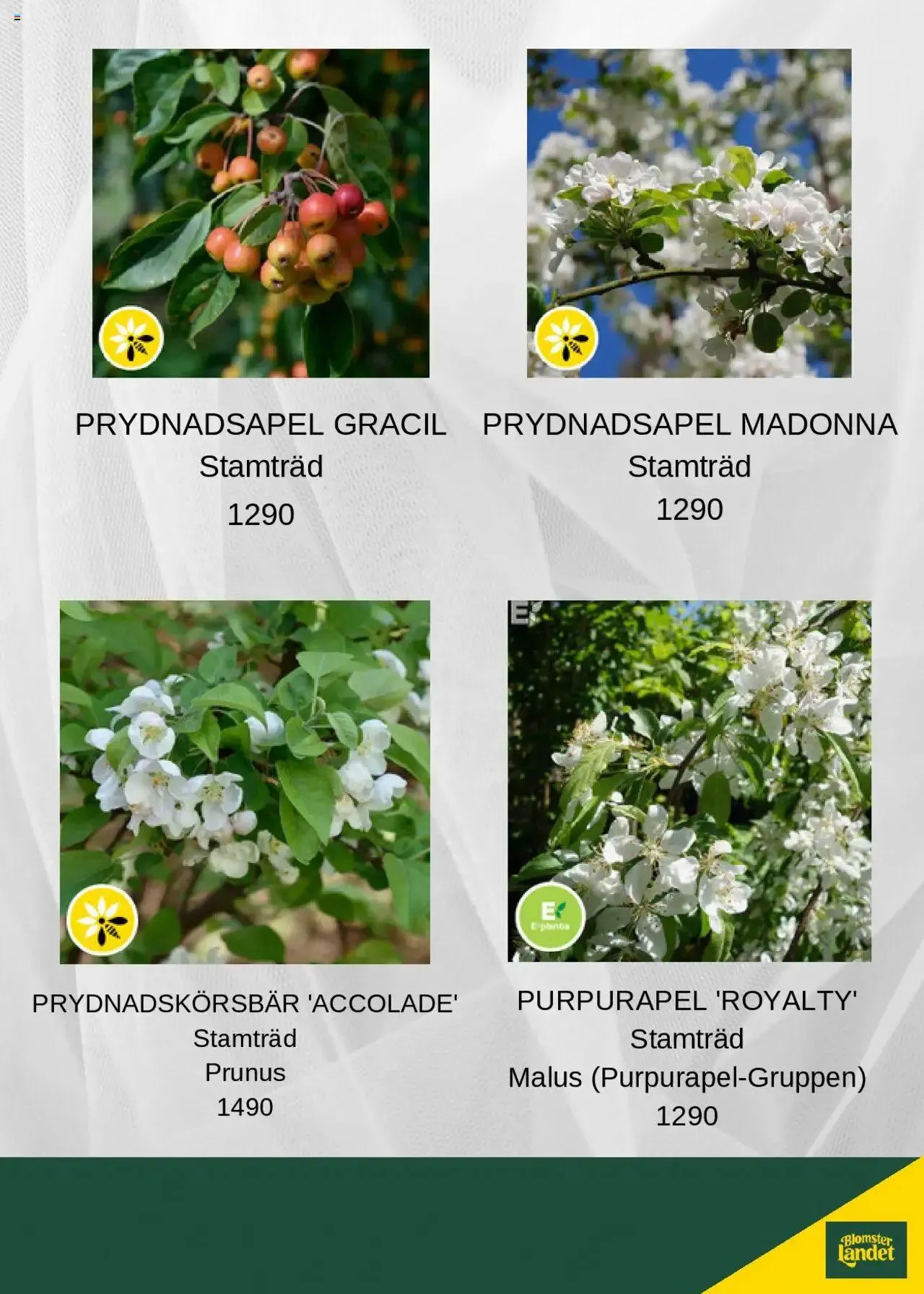 Blomsterlandet - erbjudanden från 8 juli till 31 december 2024 - Reklamblad sidor 2