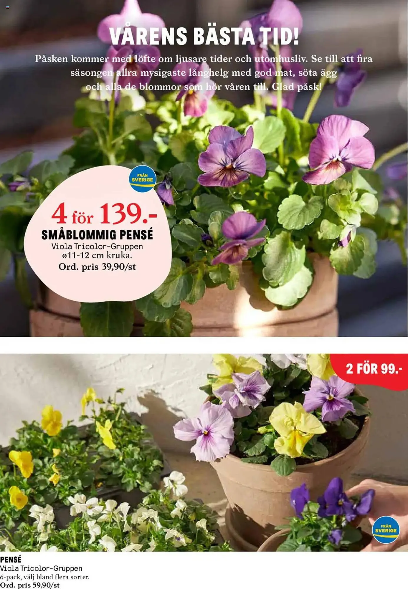 Blomsterlandet reklamblad från 24 mars till 30 mars 2025 - Reklamblad sidor 4