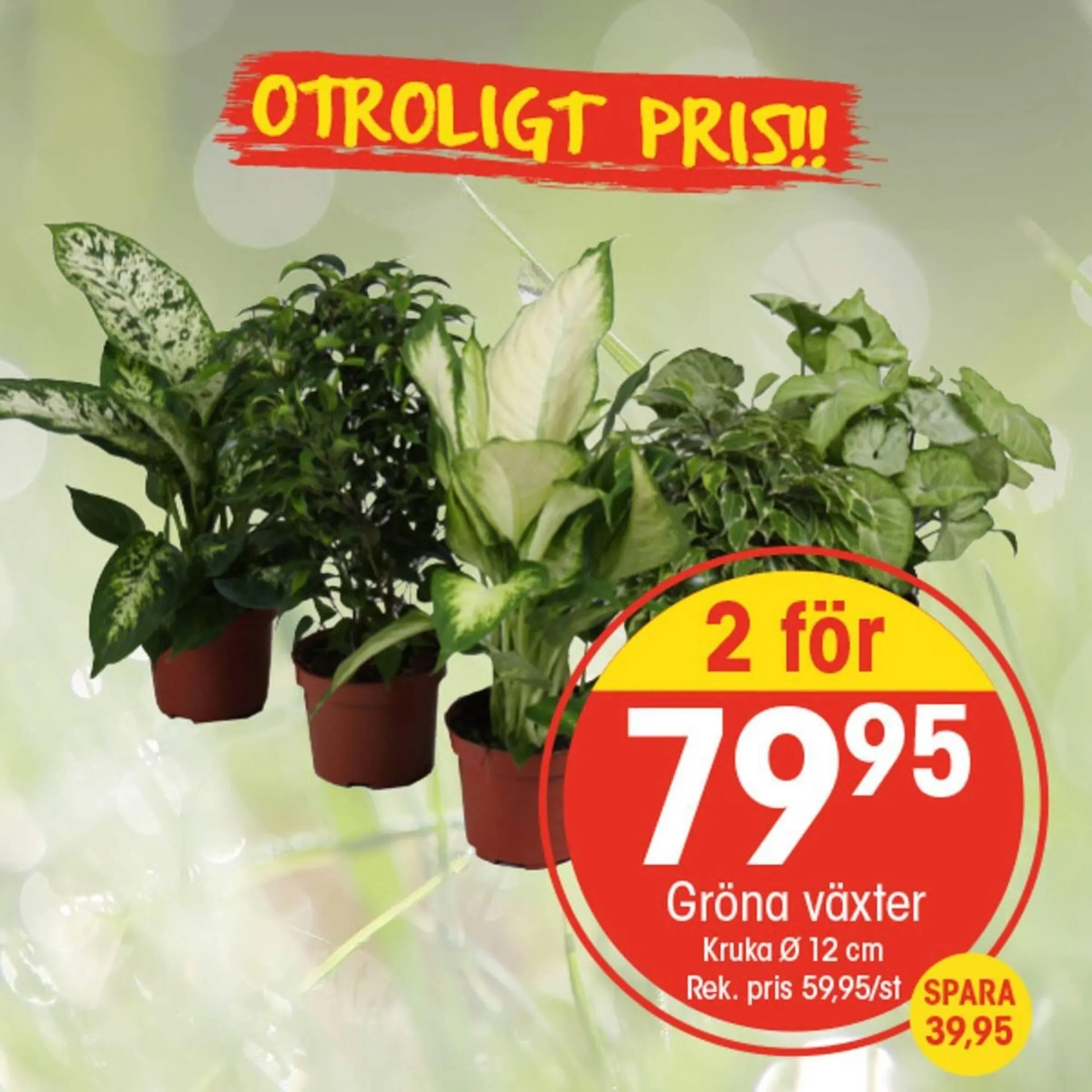 EKO reklamblad från 7 april till 13 april 2025 - Reklamblad sidor 8