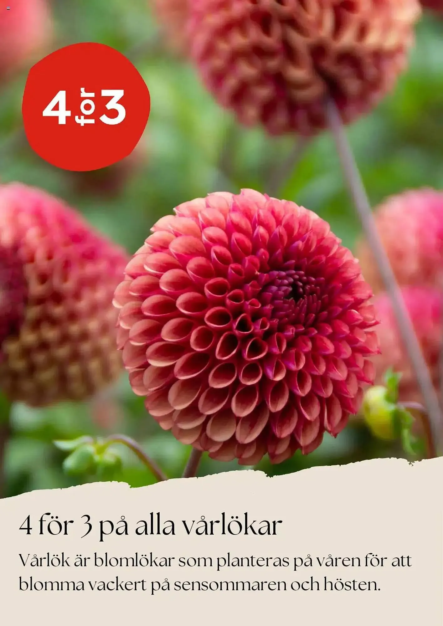 Plantagen reklamblad från 1 april till 30 april 2025 - Reklamblad sidor 4