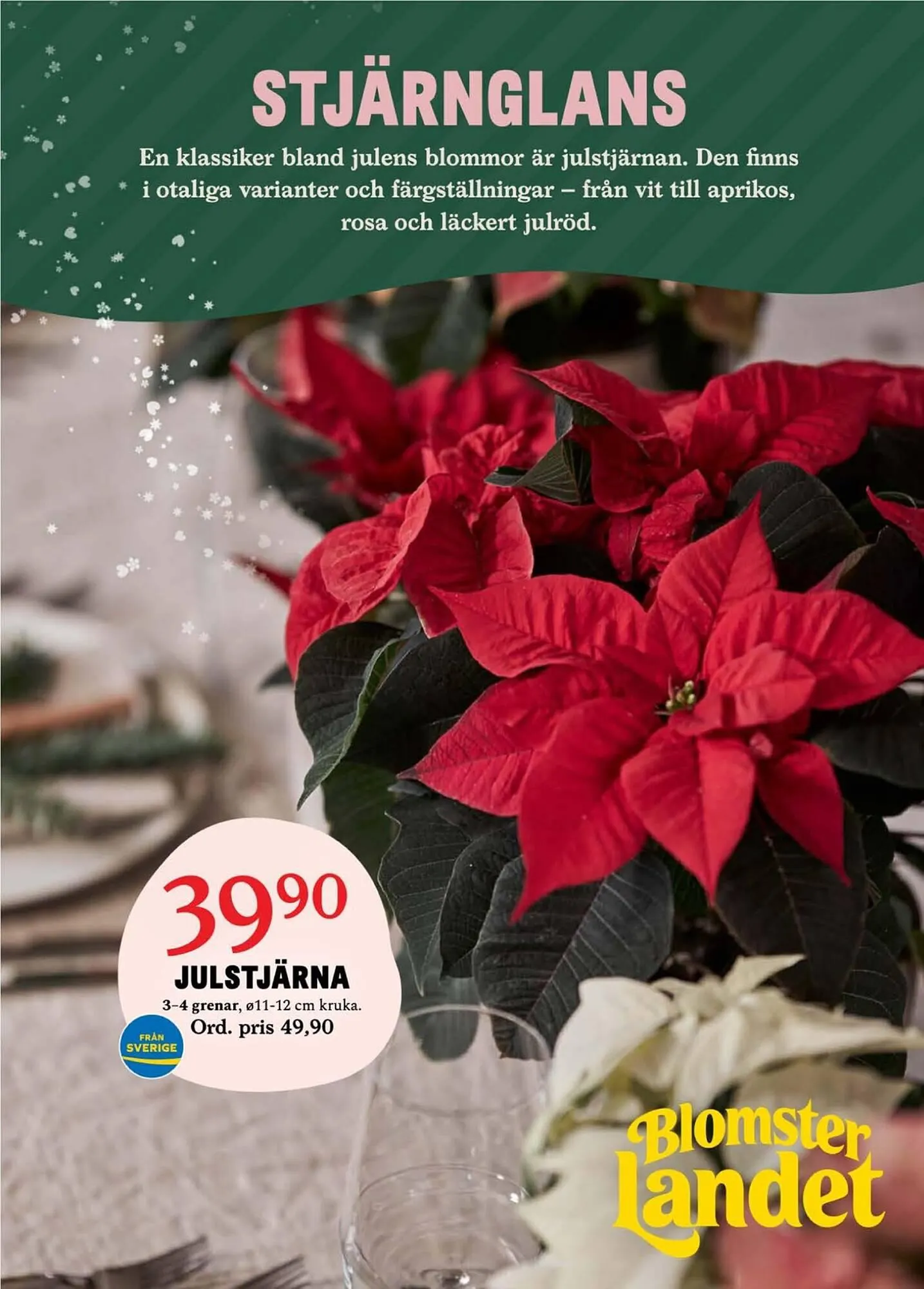 Blomsterlandet reklamblad från 27 november till 3 december 2023 - Reklamblad sidor 1