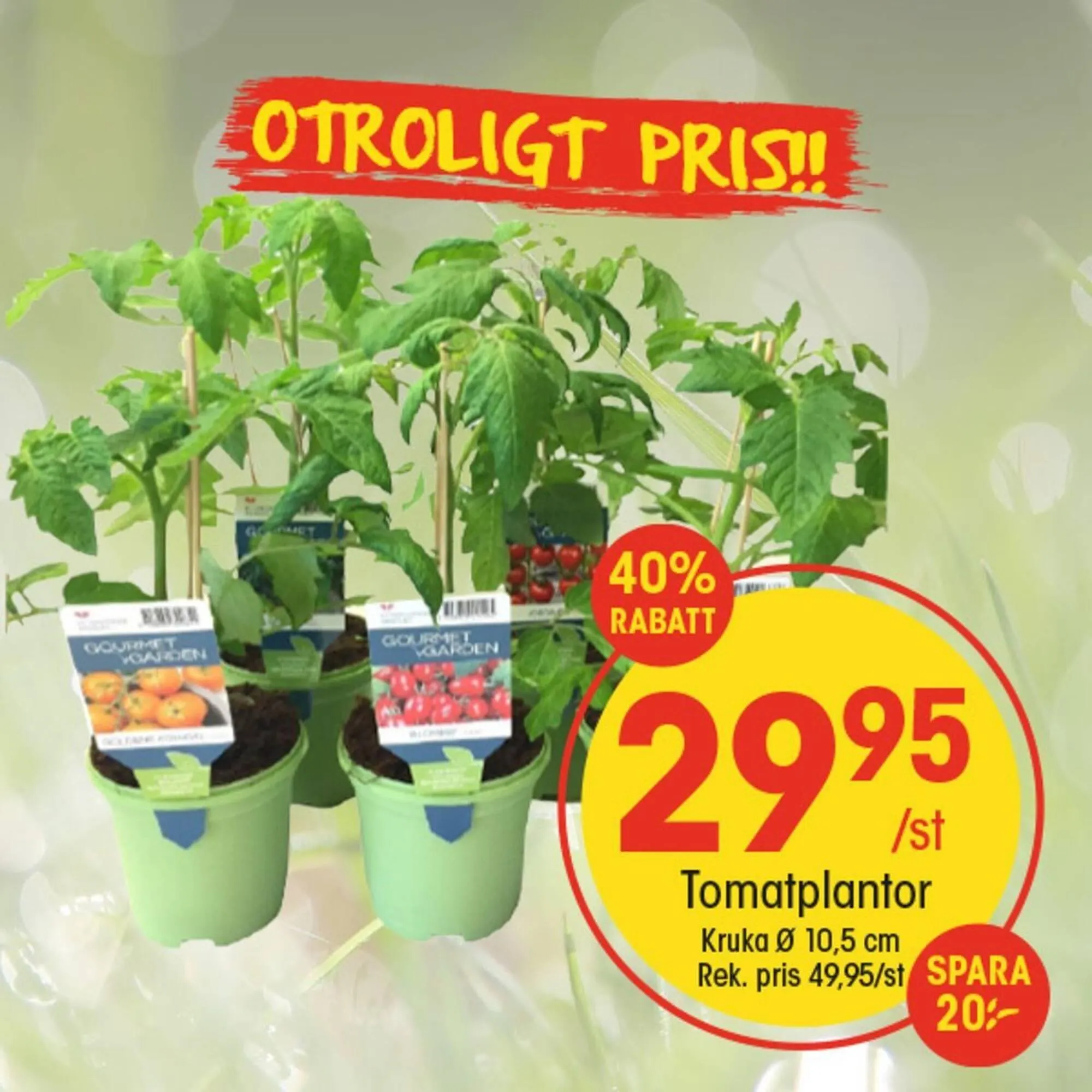 EKO reklamblad från 11 maj till 17 maj 2025 - Reklamblad sidor 1