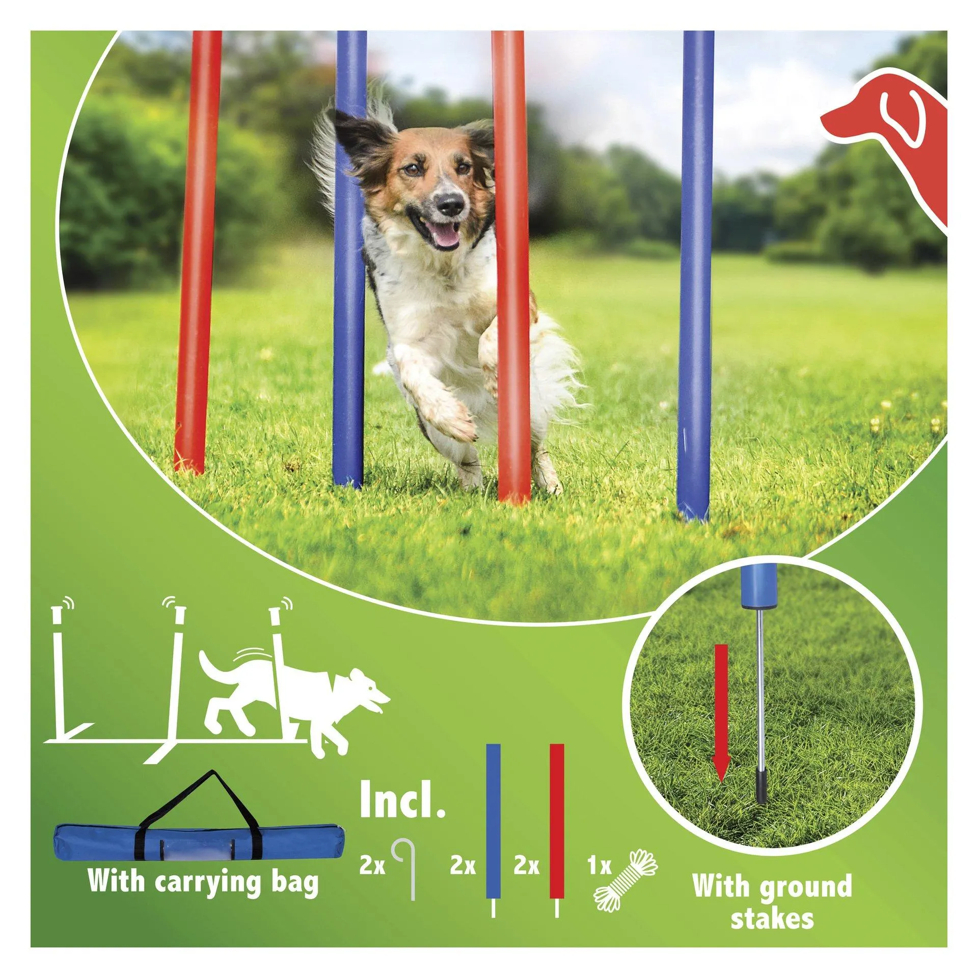 Agility-slalompinnar
