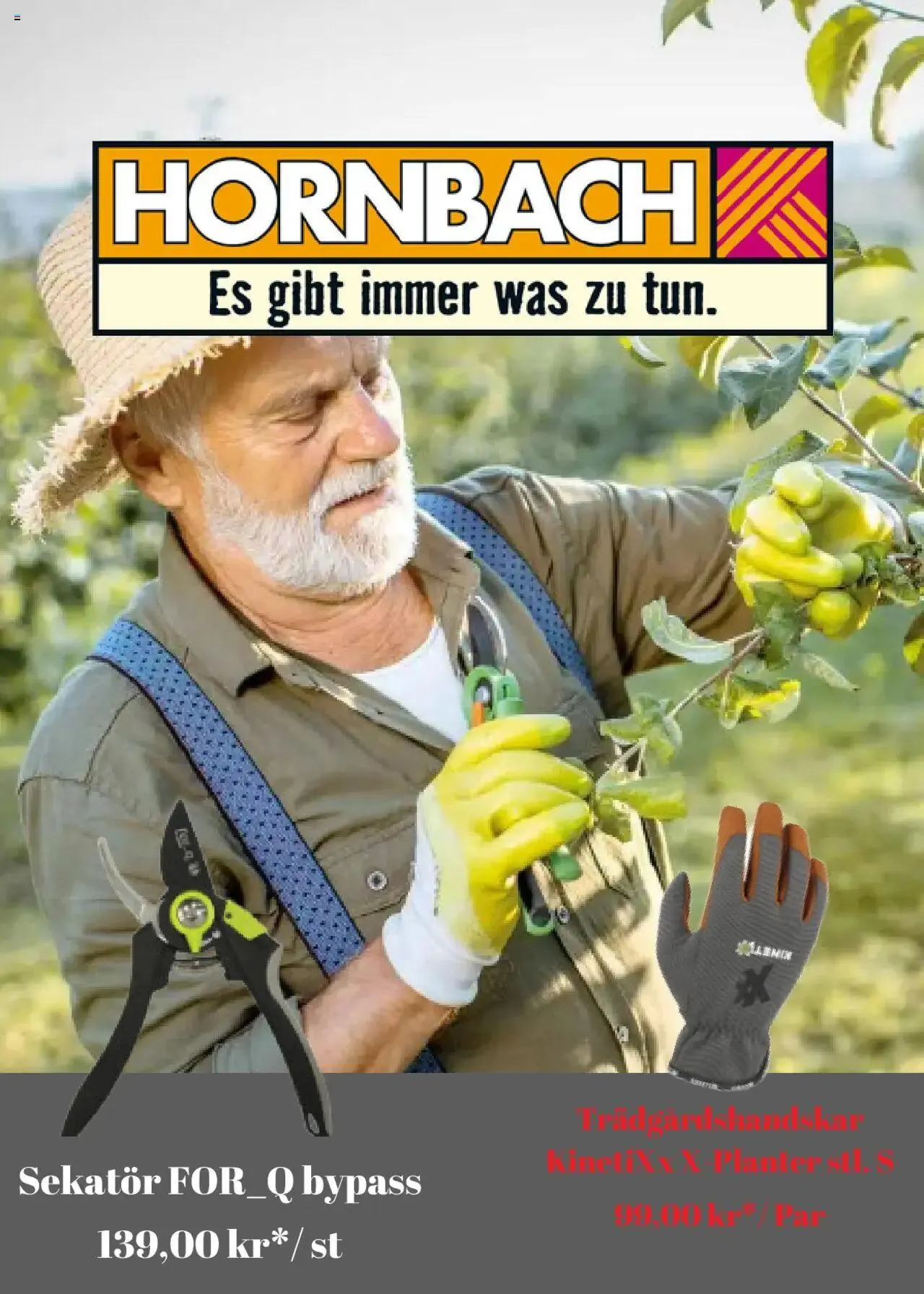 Hornbach - erbjudanden från 15 juli till 31 december 2024 - Reklamblad sidor 1