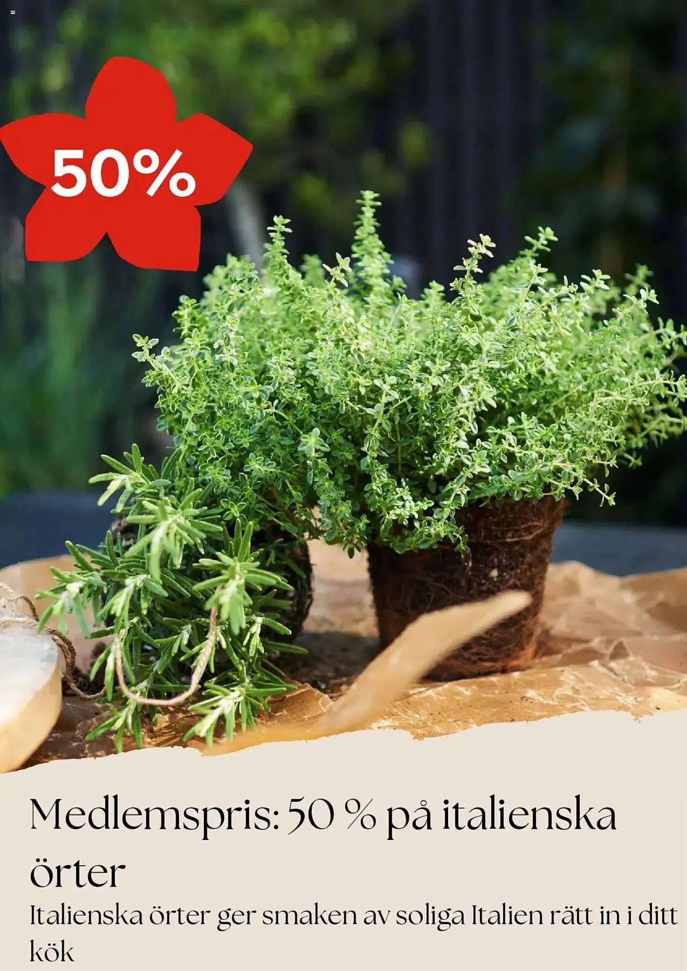 Plantagen reklamblad från 1 mars till 31 mars 2025 - Reklamblad sidor 4