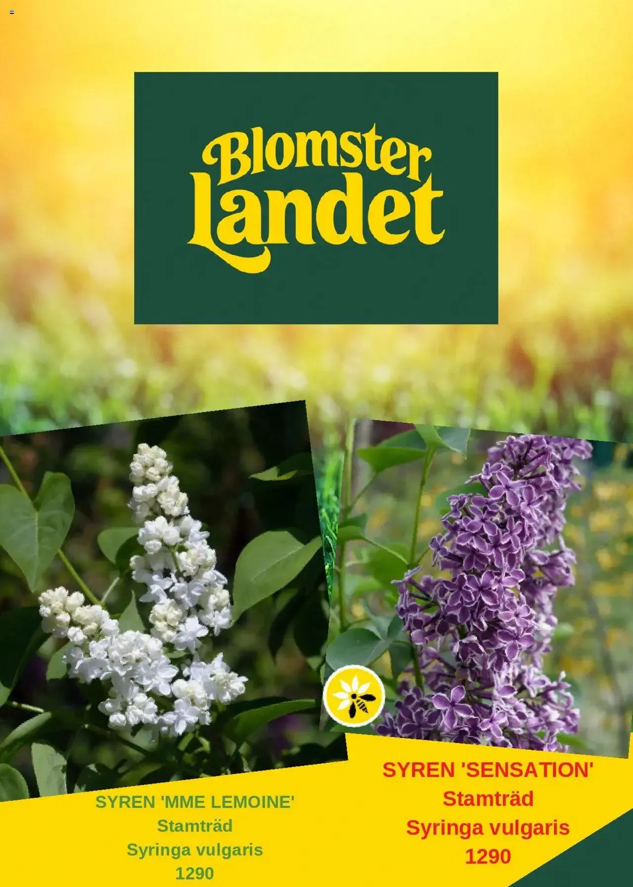 Blomsterlandet - erbjudanden från 8 juli till 31 december 2024 - Reklamblad sidor 1