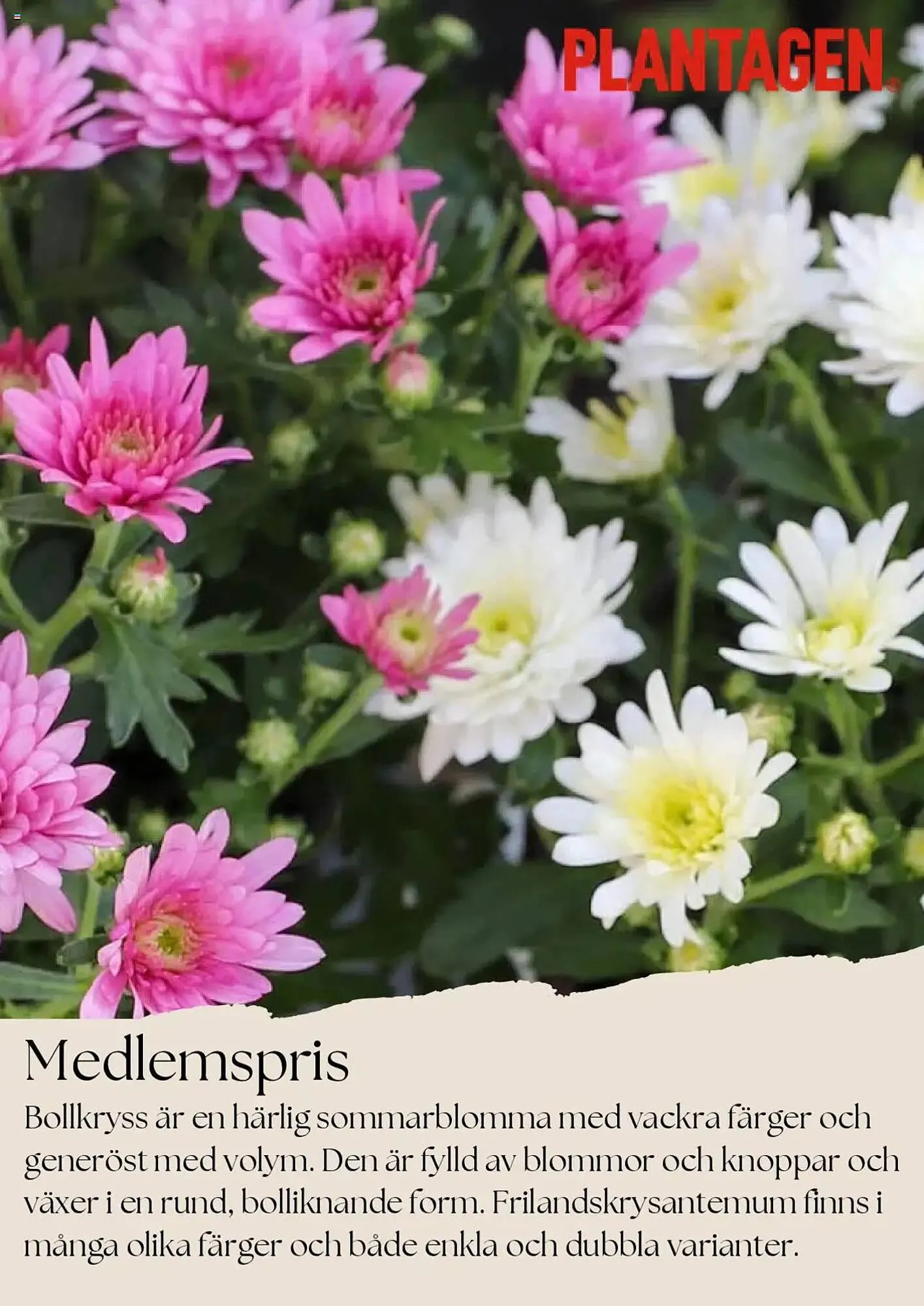 Plantagen reklamblad - 1