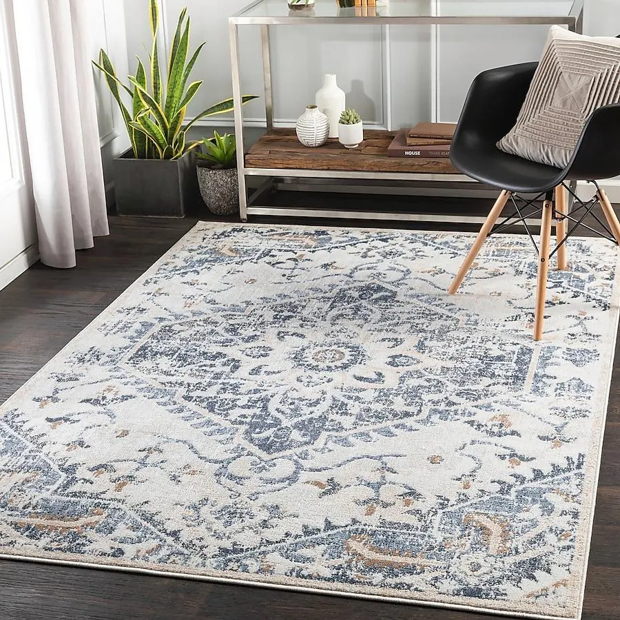 Livabliss St tropez 8 x 10 (ft) Denim Rectangular Indoor Medallion Oriental Area rug Pet Friendly