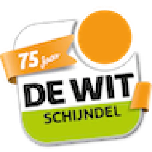 de wit schijndel logo