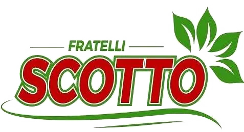 supermercato fratelli scotto logo