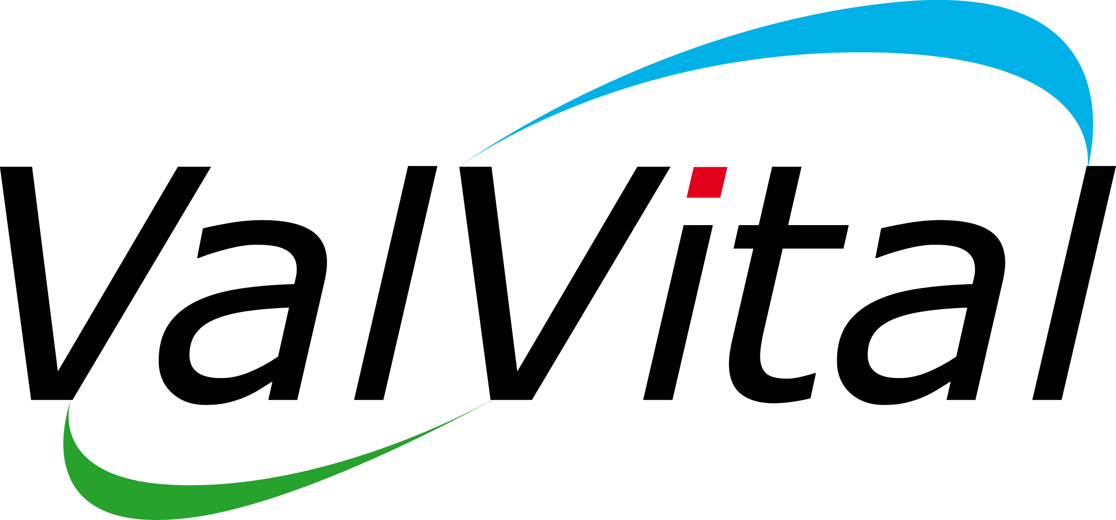 valvital logo