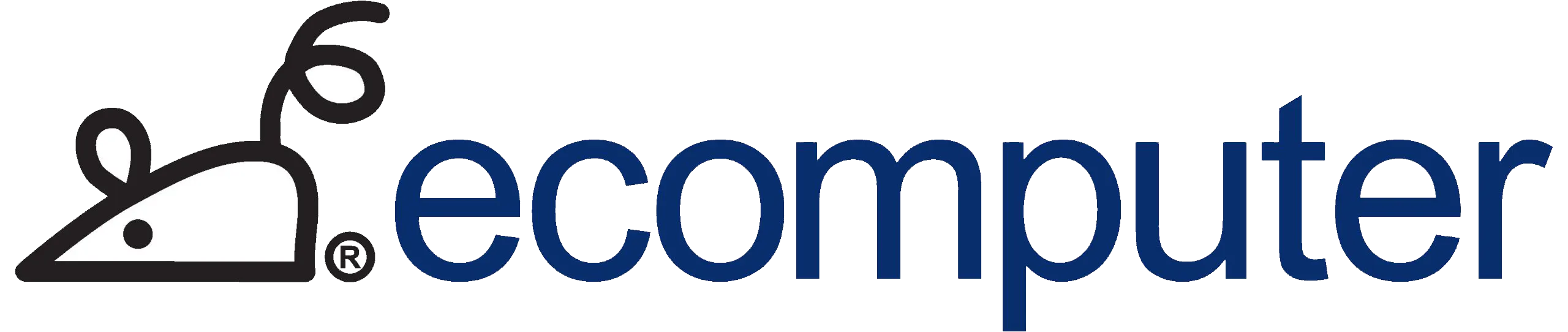 Ecomputer
