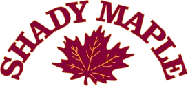 Shady Maple